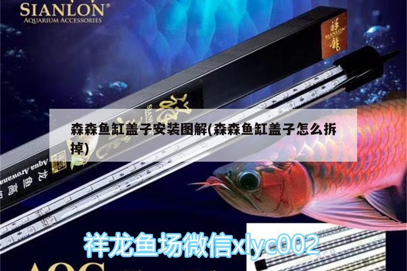 森森魚缸蓋子安裝圖解(森森魚缸蓋子怎么拆掉)