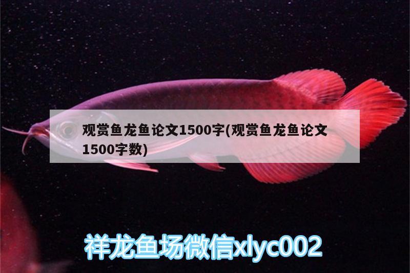 觀賞魚(yú)龍魚(yú)論文1500字(觀賞魚(yú)龍魚(yú)論文1500字?jǐn)?shù))