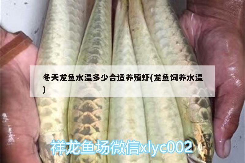 盤錦魚(yú)缸定做店哪家好點(diǎn)（盤錦魚(yú)缸哪有批發(fā)市場(chǎng)） 廣州觀賞魚(yú)批發(fā)市場(chǎng) 第2張