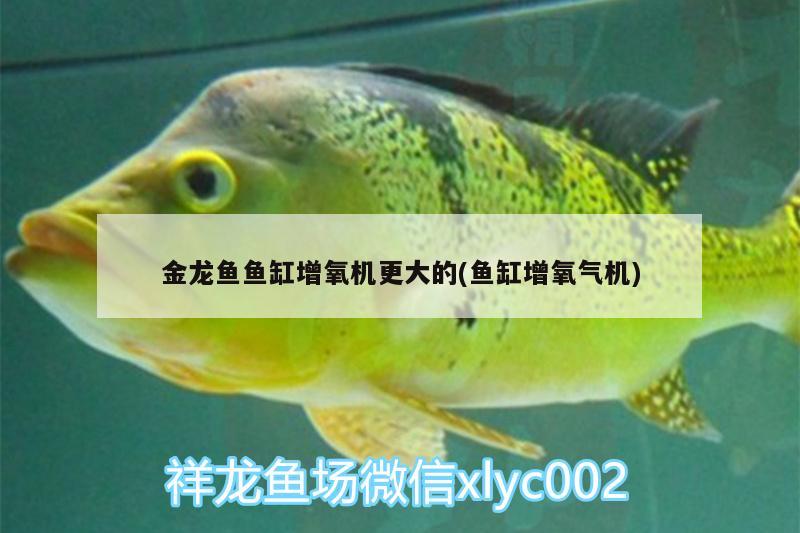 金龍魚魚缸增氧機(jī)更大的(魚缸增氧氣機(jī))