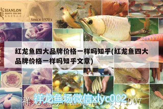 紅龍魚四大品牌價格一樣嗎知乎(紅龍魚四大品牌價格一樣嗎知乎文章) 巨骨舌魚