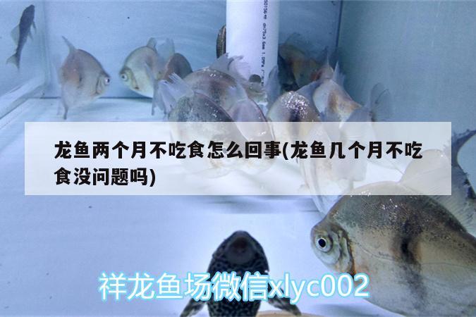 魚缸方缸和長缸哪個好，用什么形狀的魚缸最好 養(yǎng)魚的好處 第1張