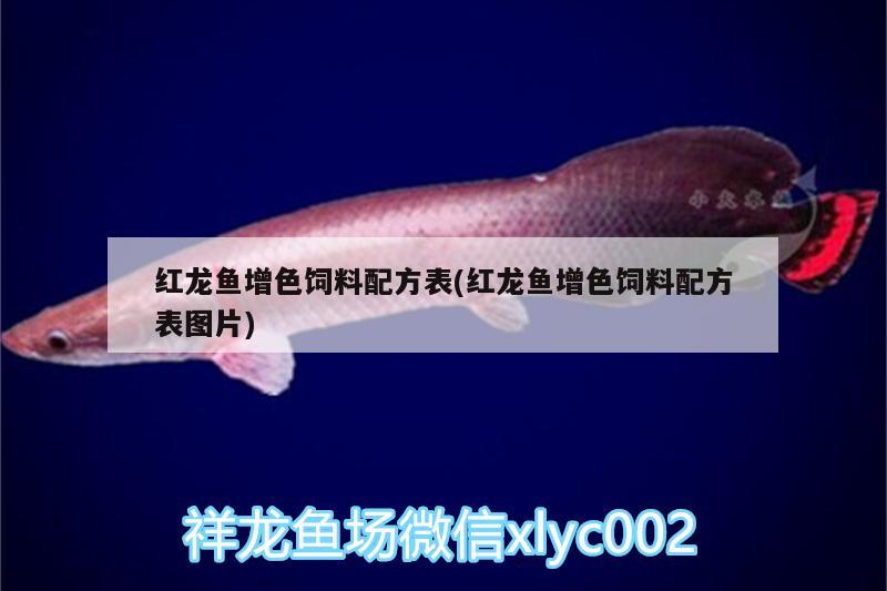 紅龍魚增色飼料配方表(紅龍魚增色飼料配方表圖片) 飛鳳魚