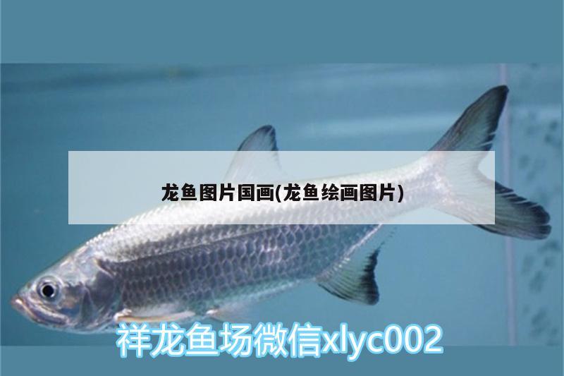 龍魚圖片國畫(龍魚繪畫圖片) 噴點菠蘿魚 第2張