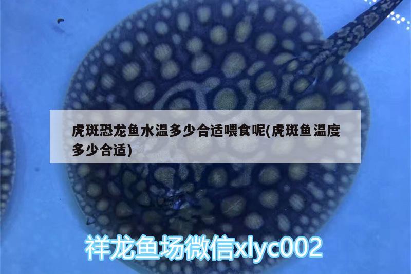 放魚養(yǎng)水,保護(hù)生態(tài) 放魚養(yǎng)水,保護(hù)生態(tài)的措施 野彩魚