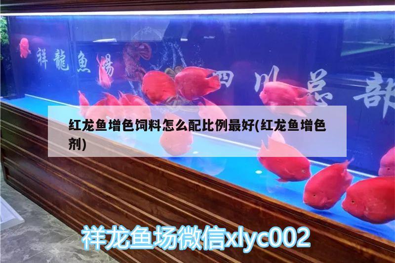 紅龍魚增色飼料怎么配比例最好(紅龍魚增色劑)