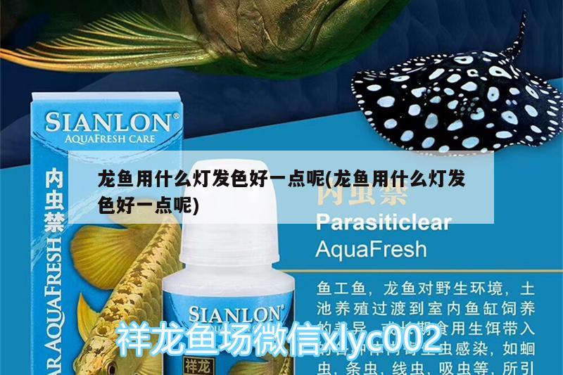 龍魚用什么燈發(fā)色好一點呢(龍魚用什么燈發(fā)色好一點呢)