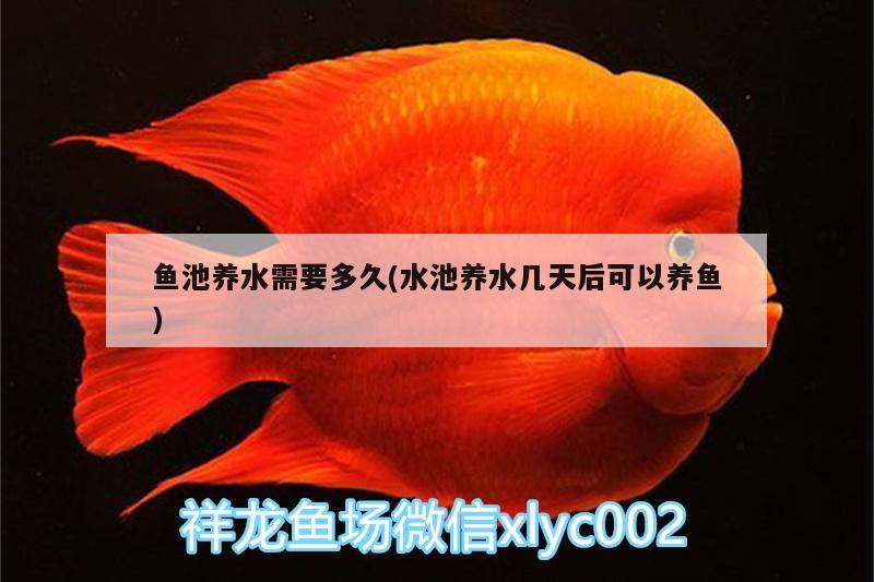 魚池養(yǎng)水需要多久(水池養(yǎng)水幾天后可以養(yǎng)魚) 龍魚百科