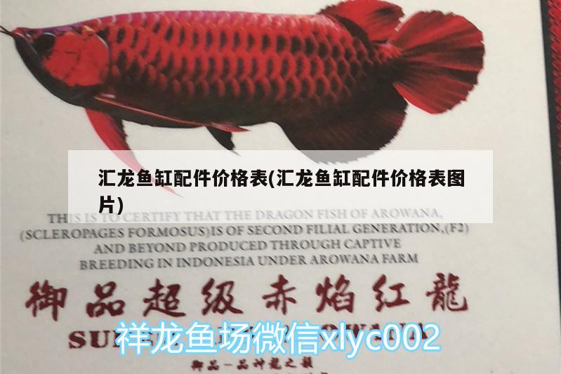 匯龍魚缸配件價格表(匯龍魚缸配件價格表圖片) 廣州水族器材濾材批發(fā)市場