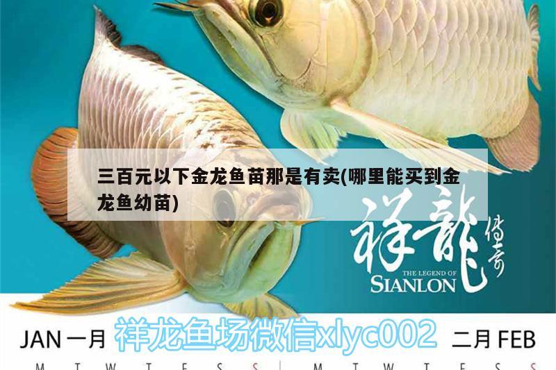 魚缸放石頭影響水質嗎，太行石放魚缸用酸洗嗎