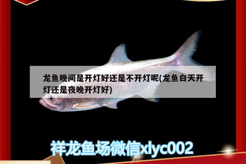 魚缸過濾泵可以拆圖片(魚缸過濾泵可以拆圖片嘛) 小型觀賞魚 第1張