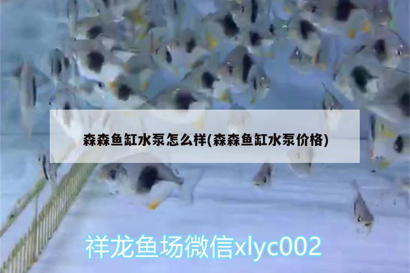 森森魚缸水泵怎么樣(森森魚缸水泵價格) 魚缸水泵