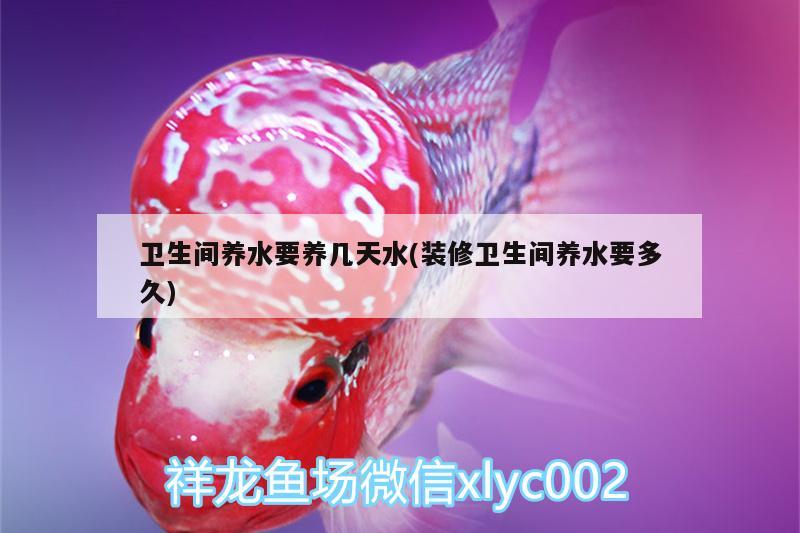 衛(wèi)生間養(yǎng)水要養(yǎng)幾天水(裝修衛(wèi)生間養(yǎng)水要多久) 養(yǎng)魚知識