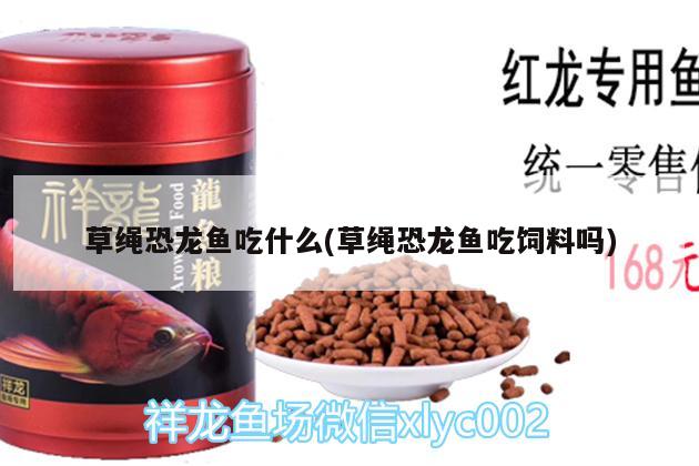 珍珠虎怎么分公母：珍珠虎怎么分公母視頻