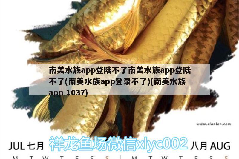 南美水族app登陸不了南美水族app登陸不了(南美水族app登錄不了)(南美水族app1037)