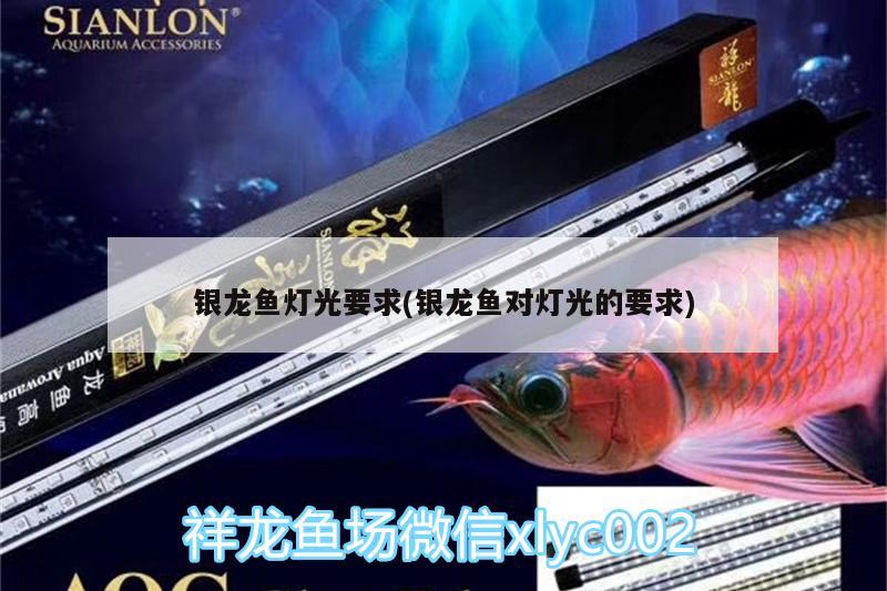 銀龍魚燈光要求(銀龍魚對(duì)燈光的要求)