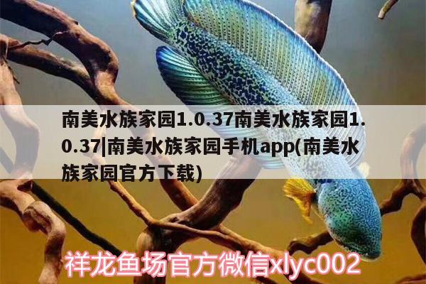 南美水族家園1.0.37南美水族家園1.0.37|南美水族家園手機app(南美水族家園官方下載) 海象魚