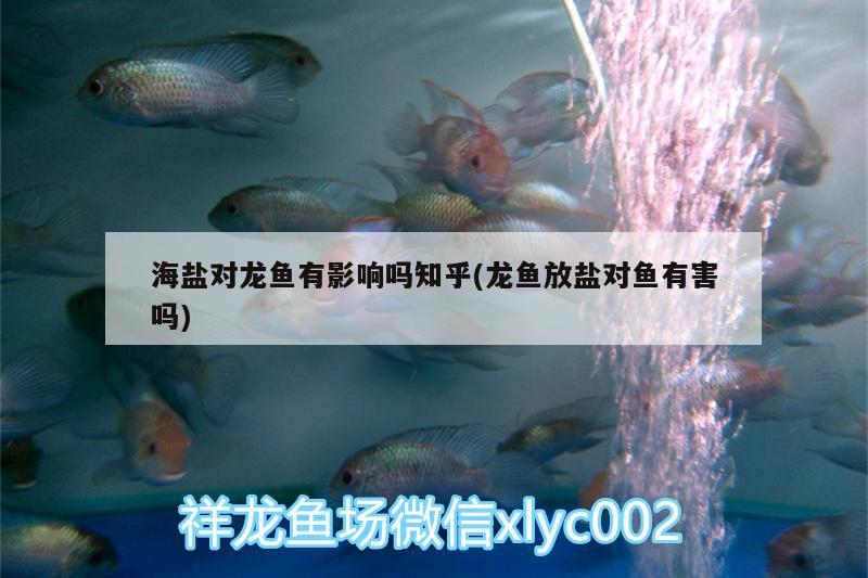 海鹽對龍魚有影響嗎知乎(龍魚放鹽對魚有害嗎)