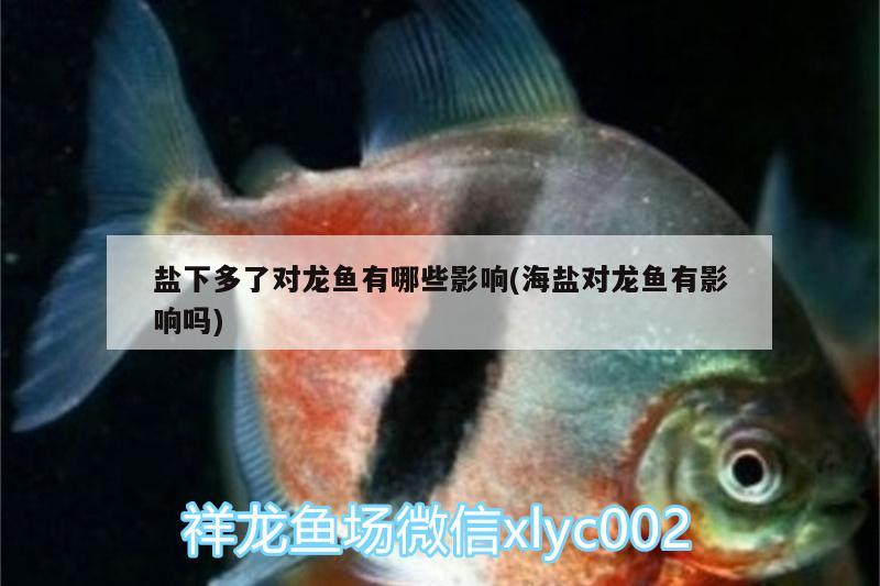 鹽下多了對龍魚有哪些影響(海鹽對龍魚有影響嗎)