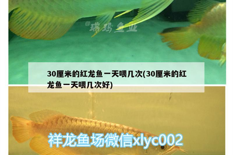 魚缸能賣嗎有講究嗎 （可以送人魚缸嗎，有什么說法） 圣菲埃及魚 第2張