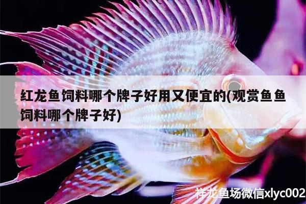 魚缸風(fēng)水?dāng)[放位置有哪些 魚缸風(fēng)水布局方位 魚缸風(fēng)水 第3張