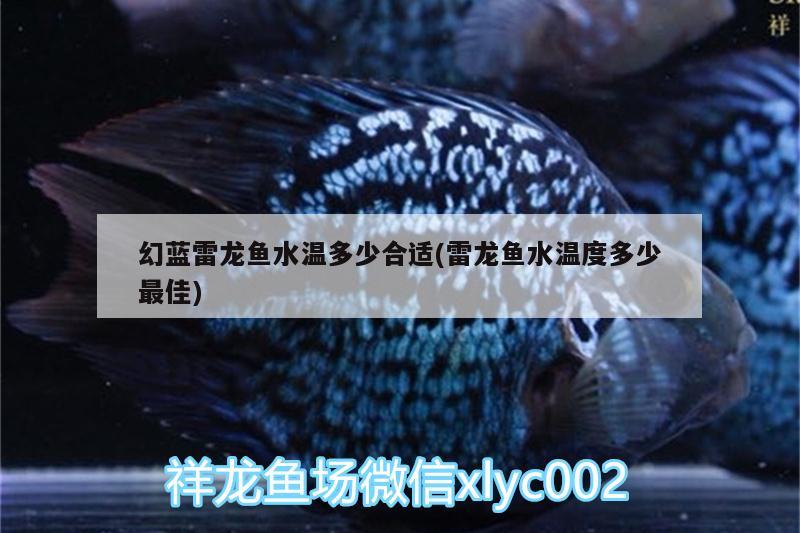 幻藍(lán)雷龍魚水溫多少合適(雷龍魚水溫度多少最佳) 過濾設(shè)備 第2張