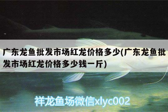 貴陽批發(fā)魚缸在哪里進貨便宜：貴陽魚缸定做廠家直銷