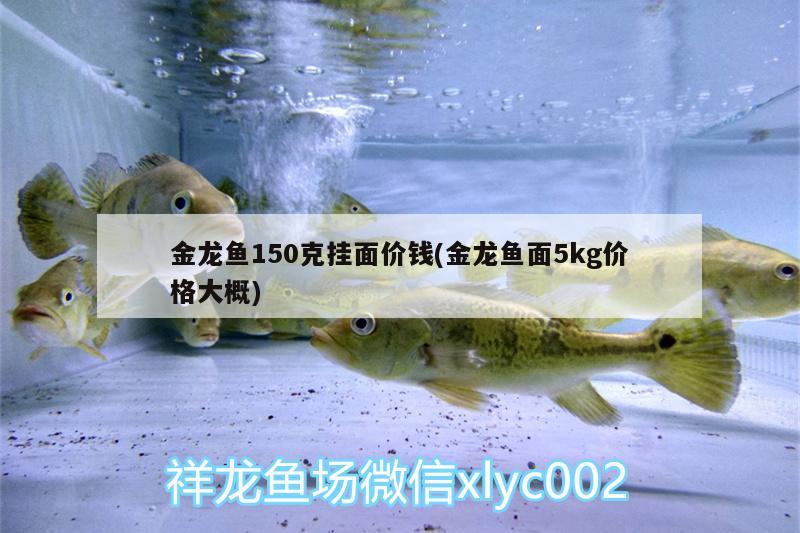 金魚是變種的鯉魚嘛，和金魚是不是鯉魚變的對應的相關(guān)信息，金魚是變種的鯉魚嘛 黑桃A魚苗 第1張