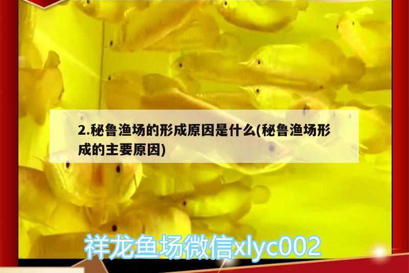 2.秘魯漁場的形成原因是什么(秘魯漁場形成的主要原因)