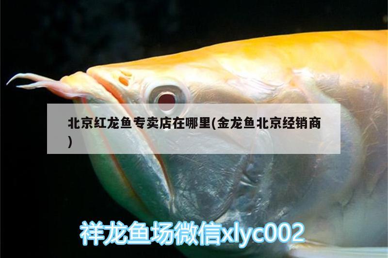 魚缸cad平面圖和尺寸圖怎么畫（平面圖魚缸一般怎么表示） 貓貓 第2張