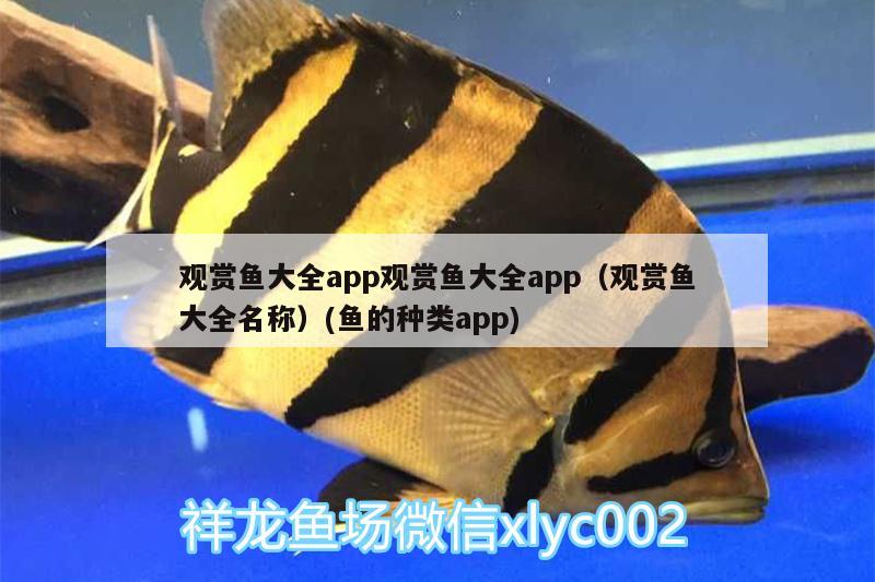 觀賞魚(yú)大全app觀賞魚(yú)大全app（觀賞魚(yú)大全名稱）(魚(yú)的種類app)