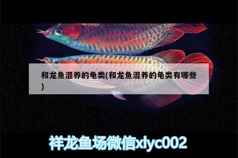 魚缸蓋的作用和使用方法詳解，——魚缸蓋的作用和使用方法詳解