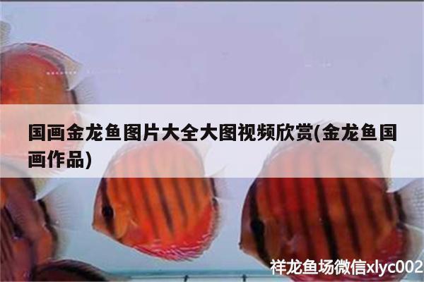 國畫金龍魚圖片大全大圖視頻欣賞(金龍魚國畫作品) 定時(shí)器/自控系統(tǒng)