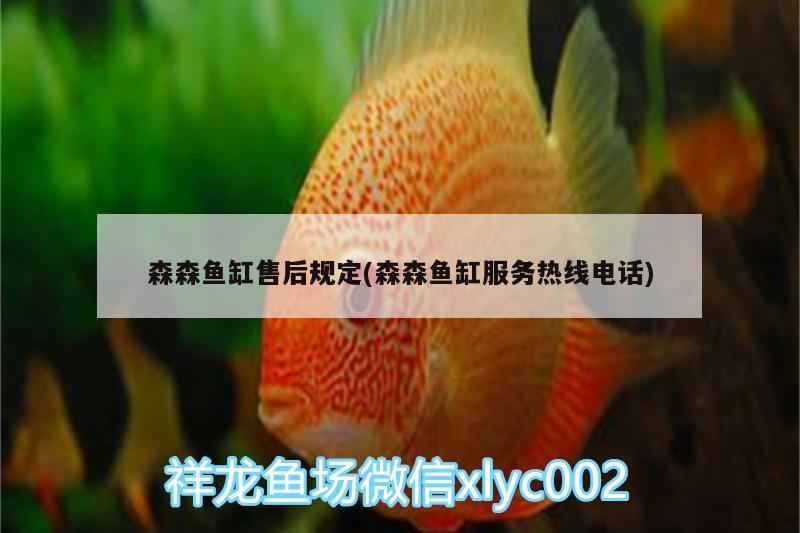 森森魚缸售后規(guī)定(森森魚缸服務(wù)熱線電話)