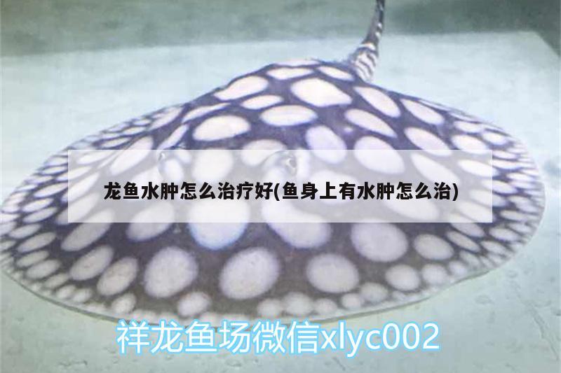 龍魚(yú)水腫怎么治療好(魚(yú)身上有水腫怎么治)