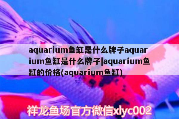 60水草缸一年費用，我想開一個賣魚缸和觀賞魚的店，大概要投資多少錢 水草 第3張