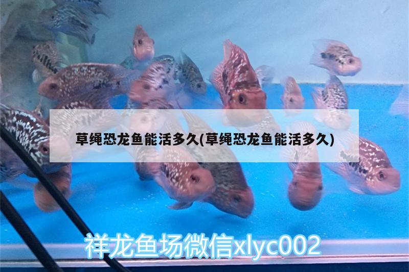 魚(yú)缸里有條魚(yú)老是咬別的魚(yú)尾巴，怎么辦？，錦鯉魚(yú)為什么咬別的魚(yú)尾巴？