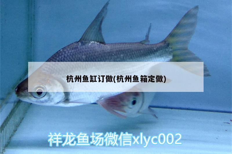 杭州魚缸訂做(杭州魚箱定做) 祥龍魚場