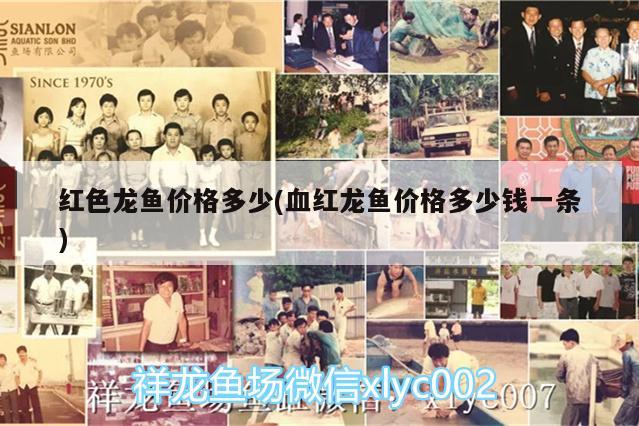 金龍魚臺灣企業(yè)：金龍魚 控股公司 祥龍水族醫(yī)院 第1張