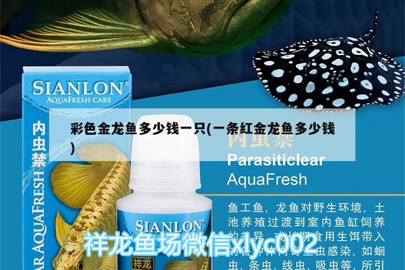 魚缸里水渾濁了怎么辦視頻教程（魚缸水渾濁原因和解決方案視頻） 純血皇冠黑白魟魚 第2張