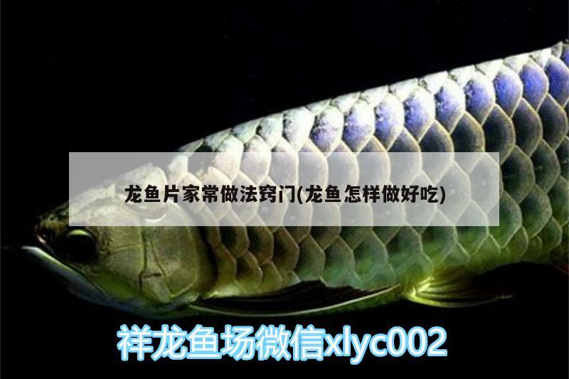 龍魚片家常做法竅門(龍魚怎樣做好吃) 蘇虎苗（蘇門答臘虎魚苗） 第2張