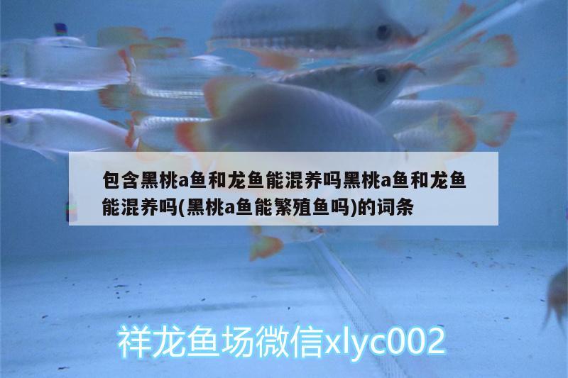 ERROR，陜西觀賞魚的價(jià)格怎么樣