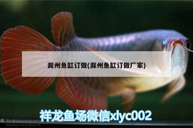 滁州魚(yú)缸訂做(滁州魚(yú)缸訂做廠家)