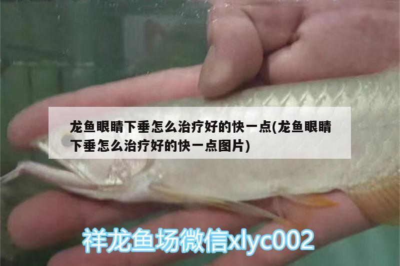 水族館的魚缸用什么樹脂做的?：水族館的魚缸用什么樹脂做的好