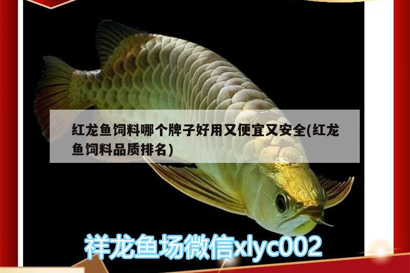 紅龍魚(yú)飼料哪個(gè)牌子好用又便宜又安全(紅龍魚(yú)飼料品質(zhì)排名)