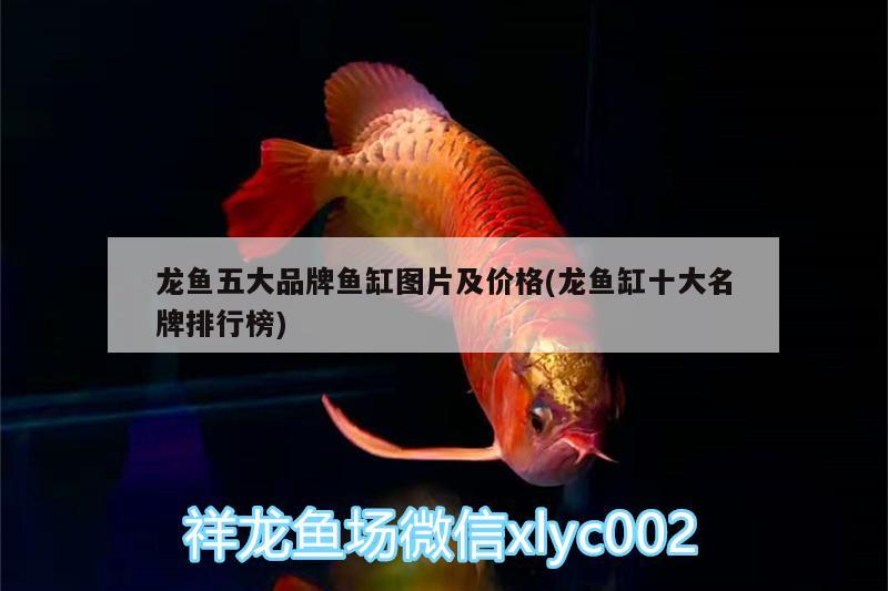 龍魚(yú)五大品牌魚(yú)缸圖片及價(jià)格(龍魚(yú)缸十大名牌排行榜) 水族燈（魚(yú)缸燈）