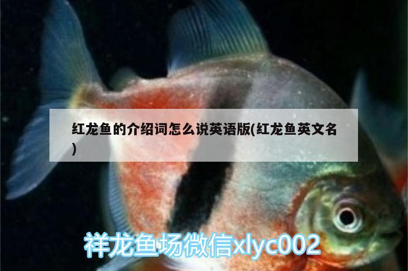 跪求魚的死因