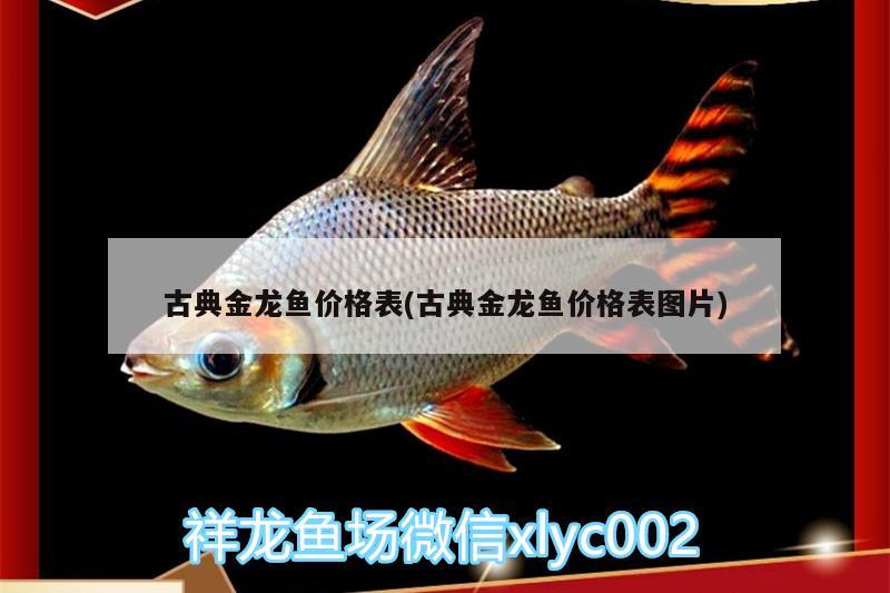 古典金龍魚價(jià)格表(古典金龍魚價(jià)格表圖片)