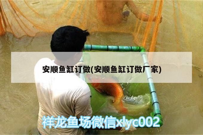 羅漢魚的顏色有幾種啊?：羅漢魚顏色深好還是淺好 羅漢魚 第2張