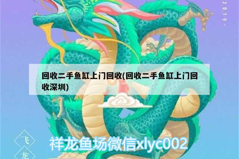 回收二手魚缸上門回收(回收二手魚缸上門回收深圳) 泰龐海鰱魚